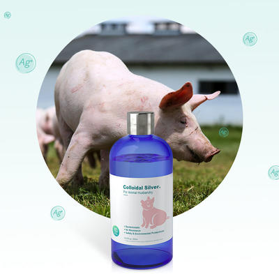 Colloidal Silver Solution With Antimicrobial Properties For Pig Farm