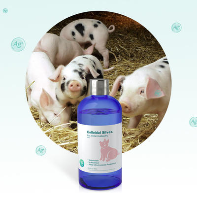 Colloidal Silver Benefits Immune System 20ppm Improve The Survival Rate Of Piglets